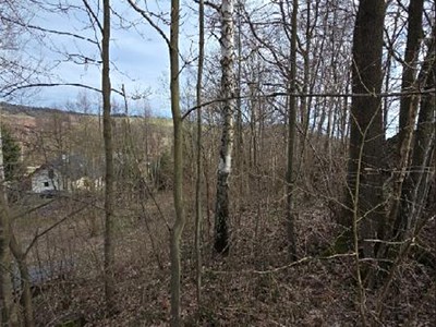 Grundstück zum Kauf, 3.079 m² (2 von 5)
