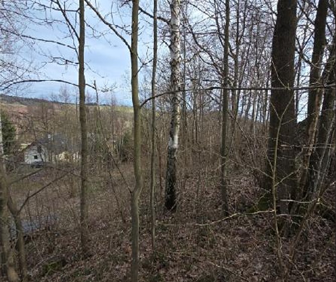 Grundstück zum Kauf, 3.079 m² (2 von 5)