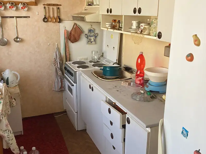 Dražba bytu 2+1 58 m², Nové Město pod Smrkem – náhled fotky 1