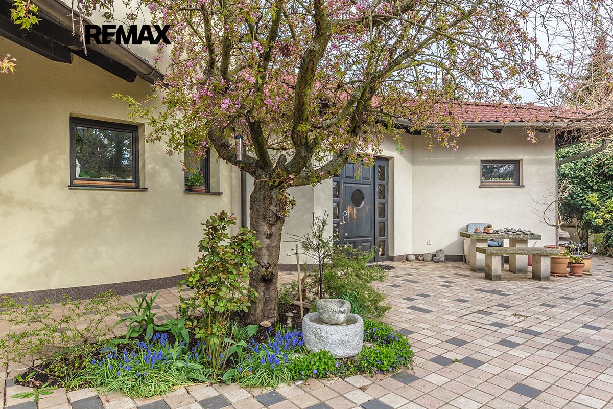 Prodej rodinného domu 309 m², pozemek 1326 m² – fotografie 4