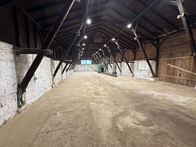 Комерційне приміщення в оренду, 520 м² (3 з 9)