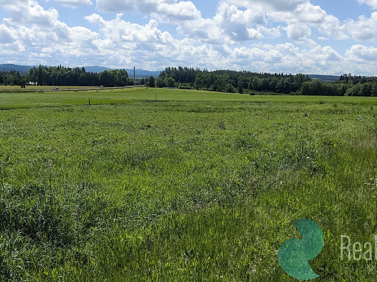 Prodej pozemku, 990 m² (6 z 6)