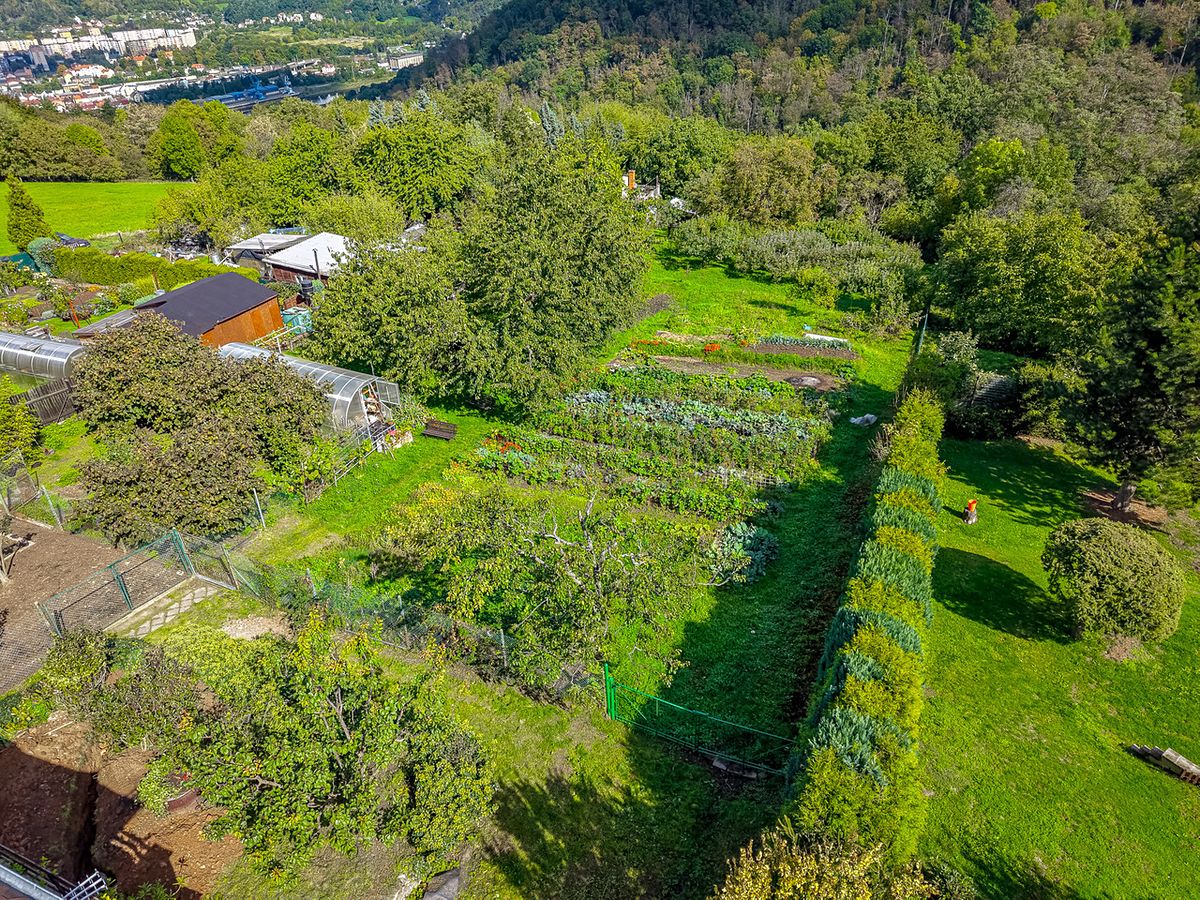 Prodej rodinného domu 150 m², pozemek 3883 m² – fotografie 3