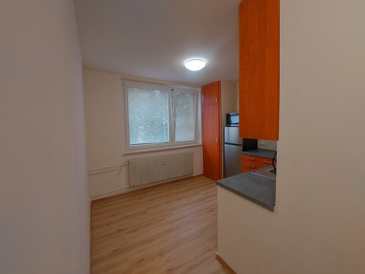 Pronájem bytu 1+1 35 m² – fotografie 2
