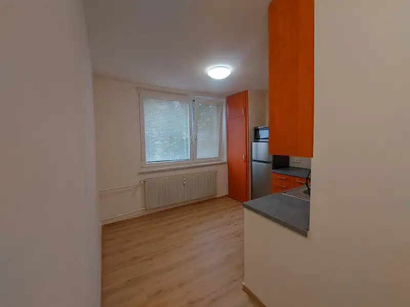 Pronájem bytu 1+1 35 m², Tišnov – náhled fotky 2
