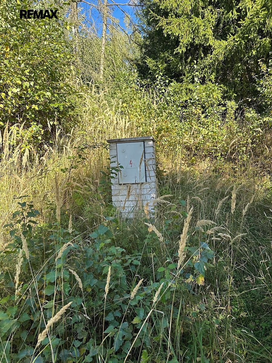 Prodej stavebního pozemku 1835 m² – fotografie 5