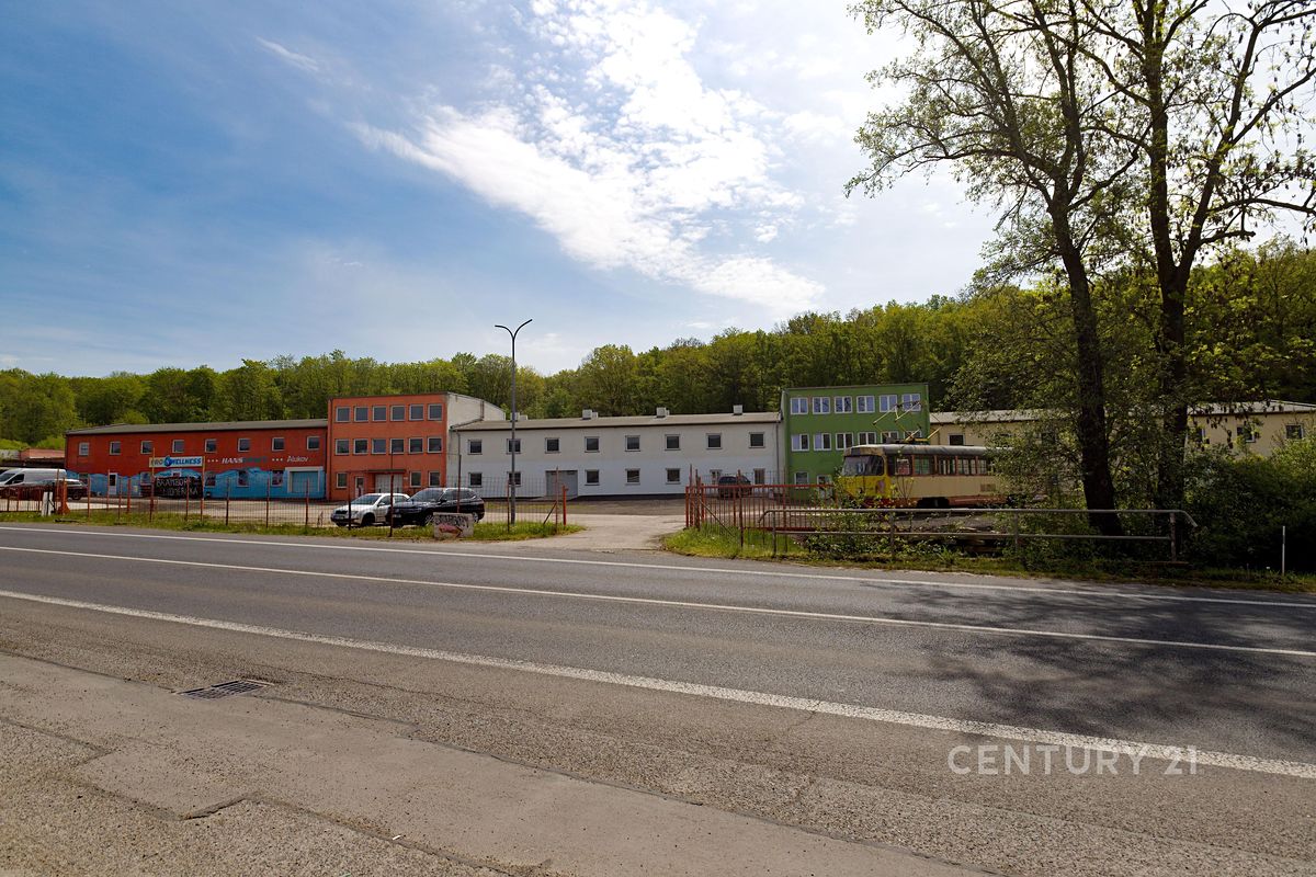 Pronájem pozemku 4000 m² – fotografie 2