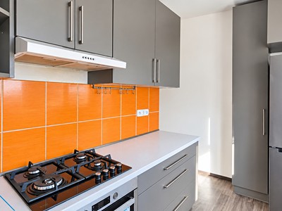 Prodej bytu 3+1, 55 m² (3 z 19)