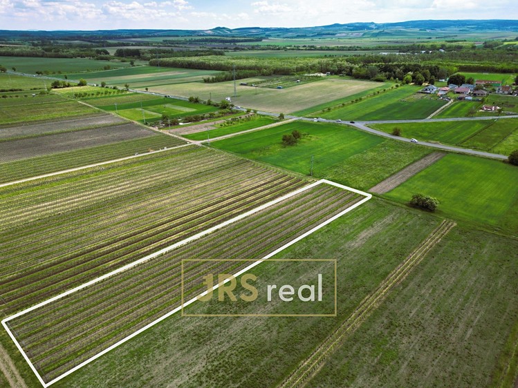 Ostatní