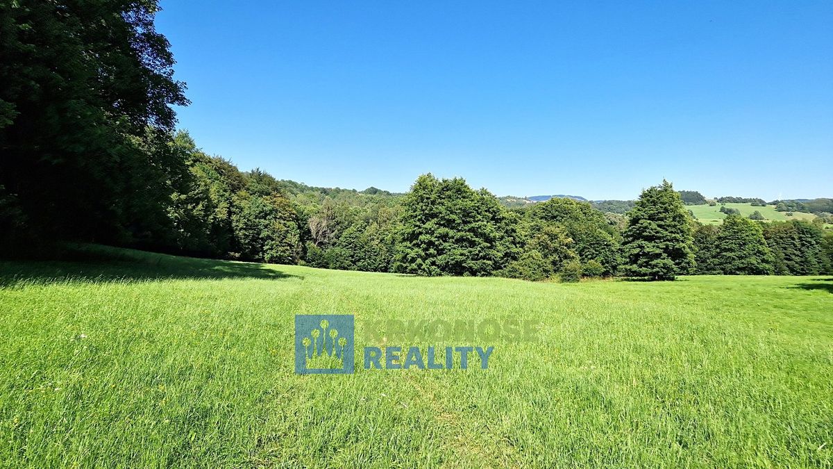 Prodej lesa 44299 m² – fotografie 2