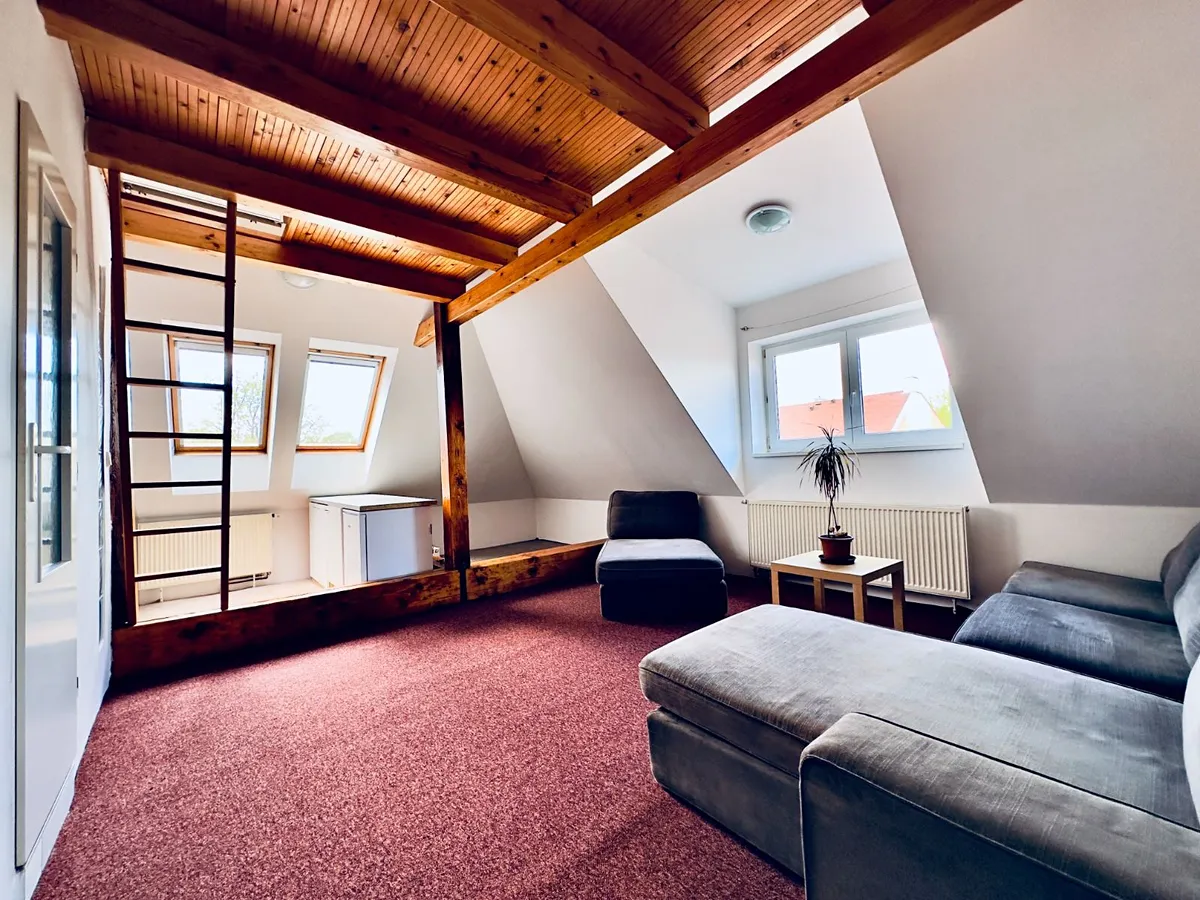 Fotka 6 z 16