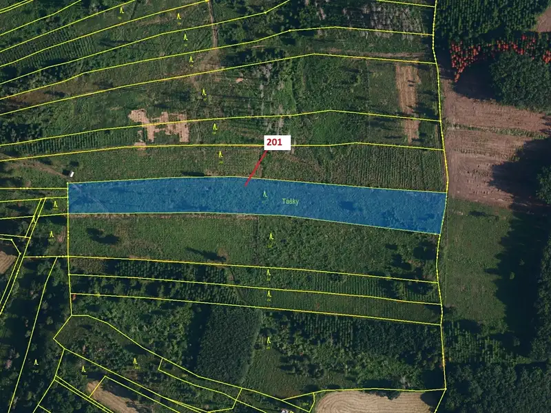 Dražba lesa 7796 m², Loukovice – náhled fotky 2