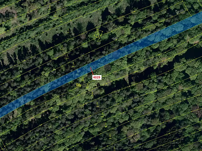 Dražba lesa 5996 m², Pitín – náhled fotky 2