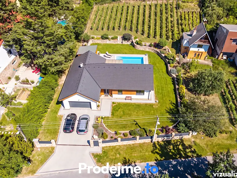 Prodej stavebního pozemku 7165 m², Viničné Šumice – náhled fotky 3