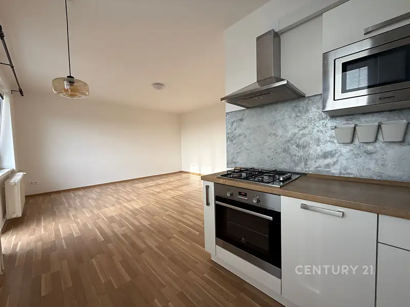 Pronájem bytu 2+kk 55 m², Ostrava – náhled fotky 2