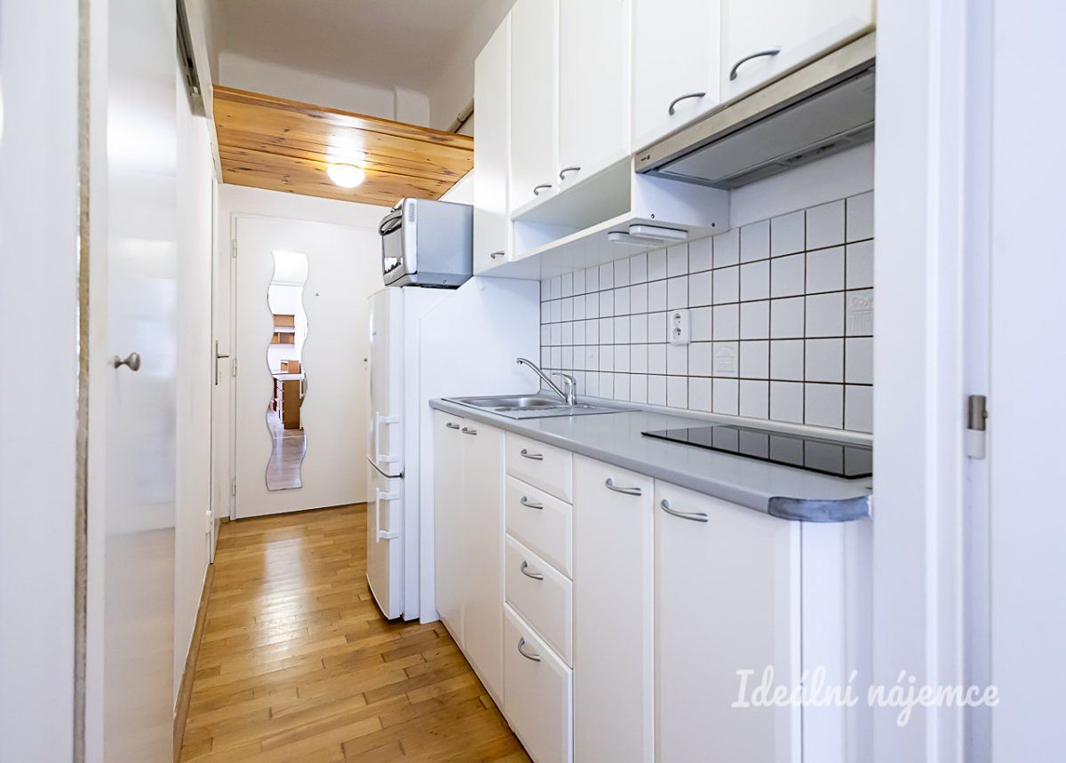 Pronájem bytu 1+kk 29 m² – fotografie 4