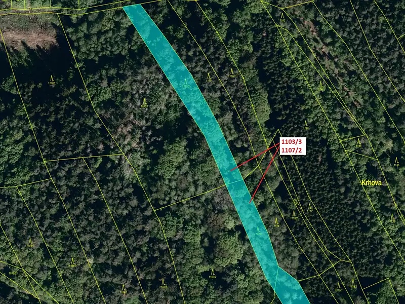 Dražba lesa 3392 m², Ludkovice – náhled fotky 2