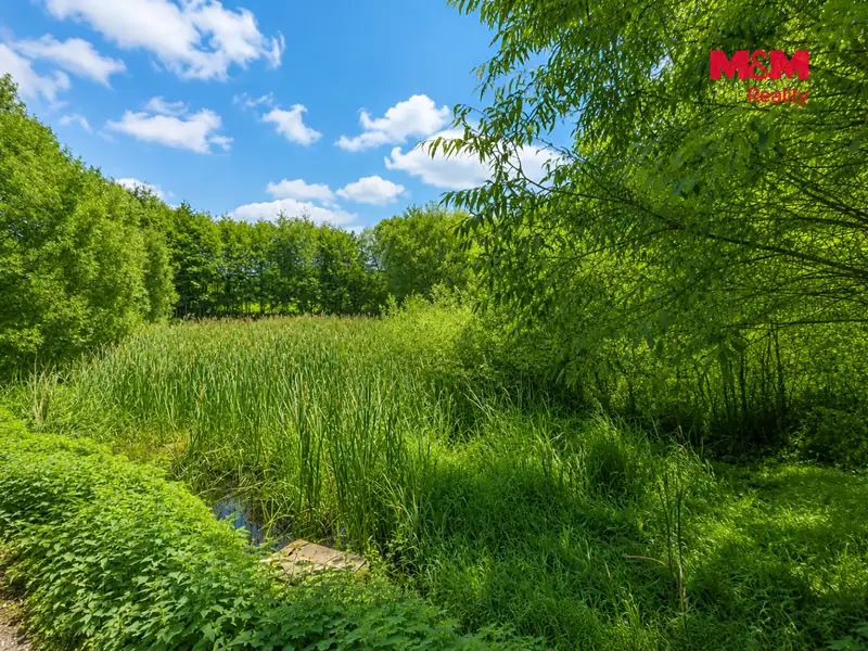Prodej louky 4863 m², Petrovice – náhled fotky 3