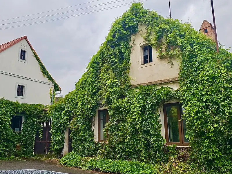 Prodej vícegeneračního domu 360 m², pozemek 1570 m², Hořovičky – náhled fotky 3