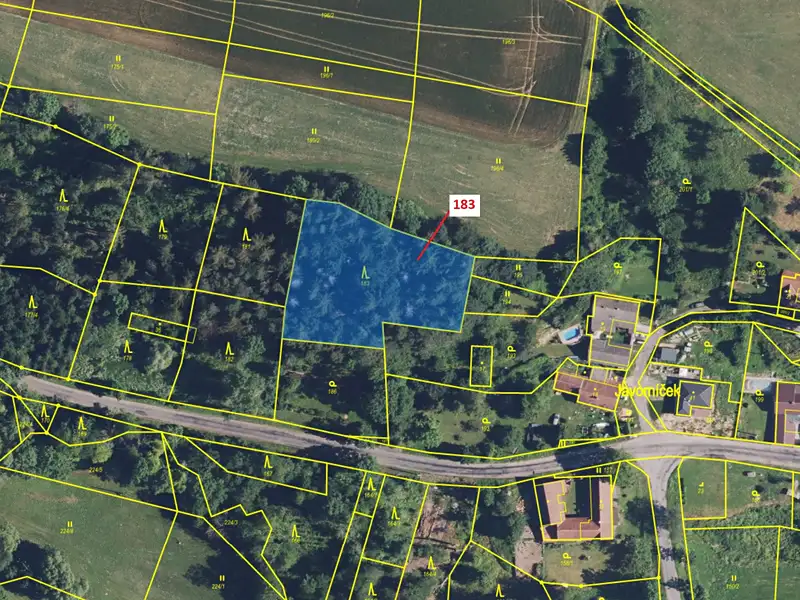 Dražba lesa 2475 m², Libecina – náhled fotky 2