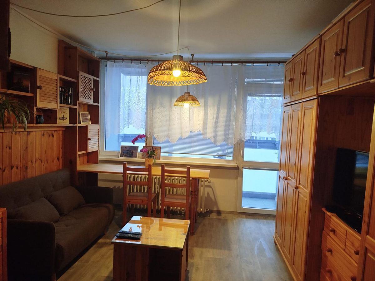 Pronájem bytu 1+1 32 m², Liberec – fotka 1 z 3
