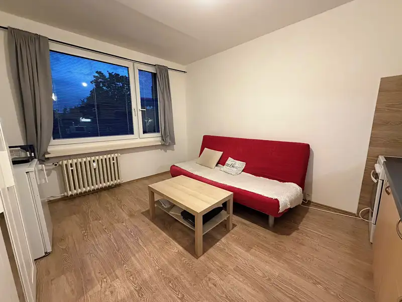 Pronájem bytu 1+kk 21 m², Lovosice – náhled fotky 3