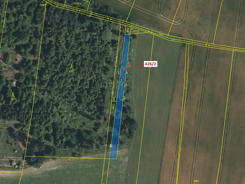 Dražba lesa 592 m², Volfířov – náhled fotky 2