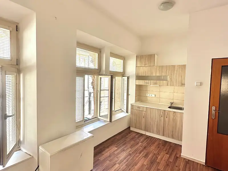 Pronájem bytu 1+1 34 m², Plzeň – náhled fotky 3