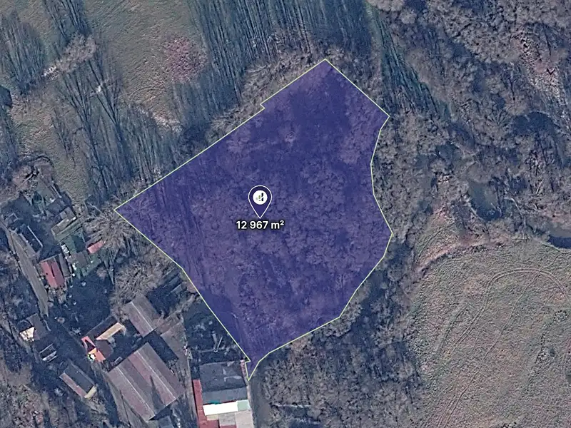Prodej komerčního pozemku 12967 m², Černousy – náhled fotky 1