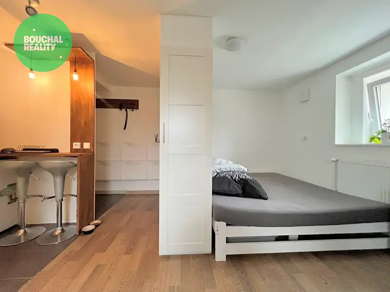 Pronájem bytu 1+kk 25 m², Zruč-Senec – náhled fotky 2