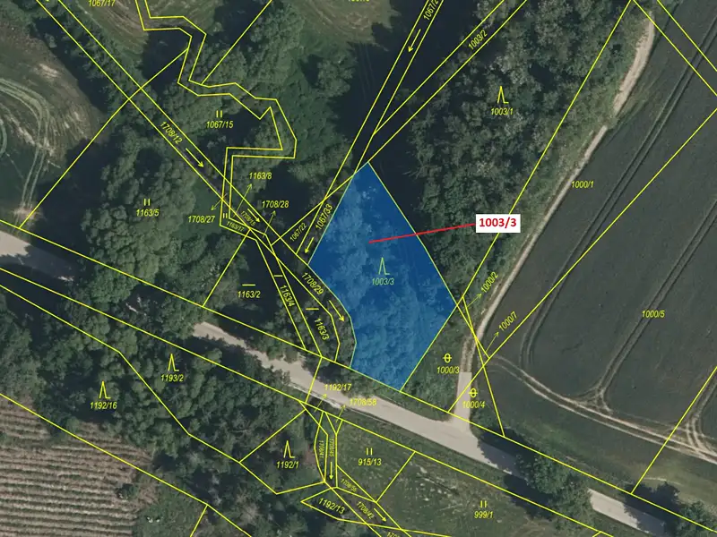 Dražba lesa 1093 m², Volfířov – náhled fotky 2