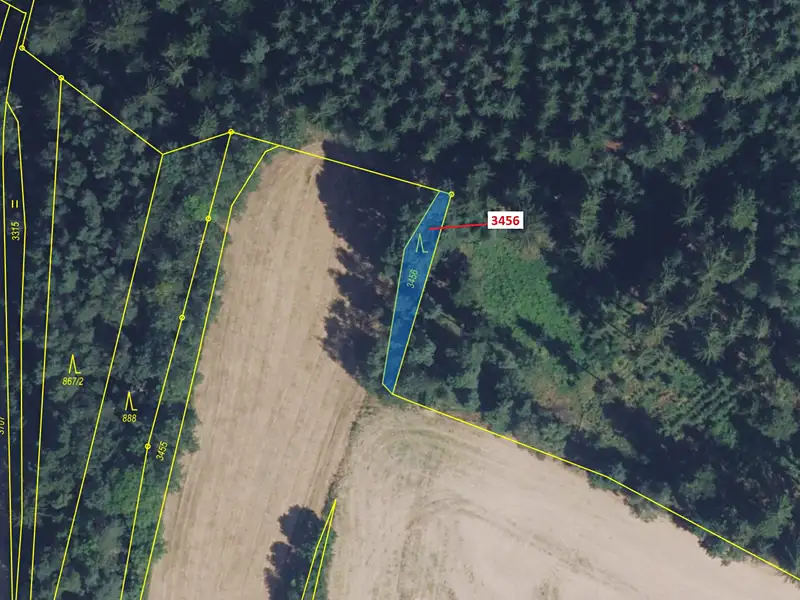 Dražba lesa 212 m², Bělá nad Svitavou – náhled fotky 2