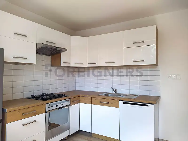 Pronájem bytu 2+1 52 m², Brno – náhled fotky 2