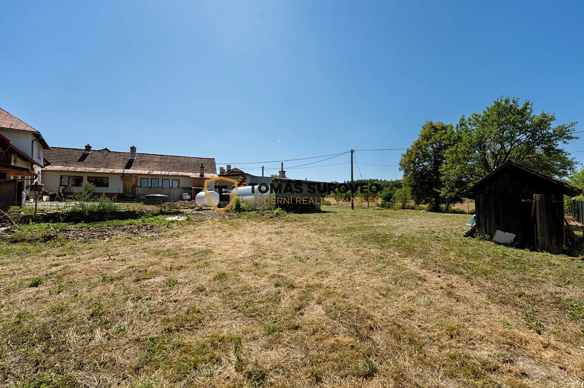 Fotka 12 z 13