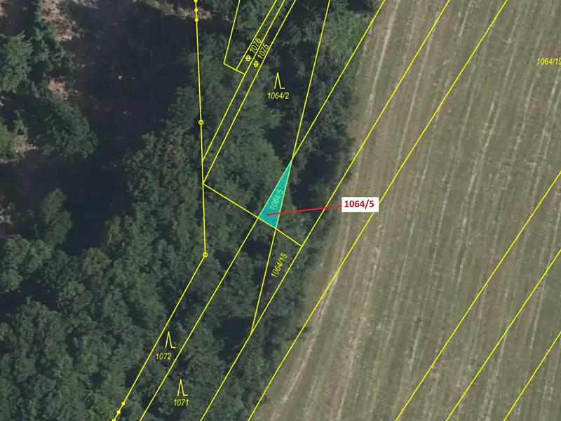 Dražba lesa 48 m², Volfířov – náhled fotky 2
