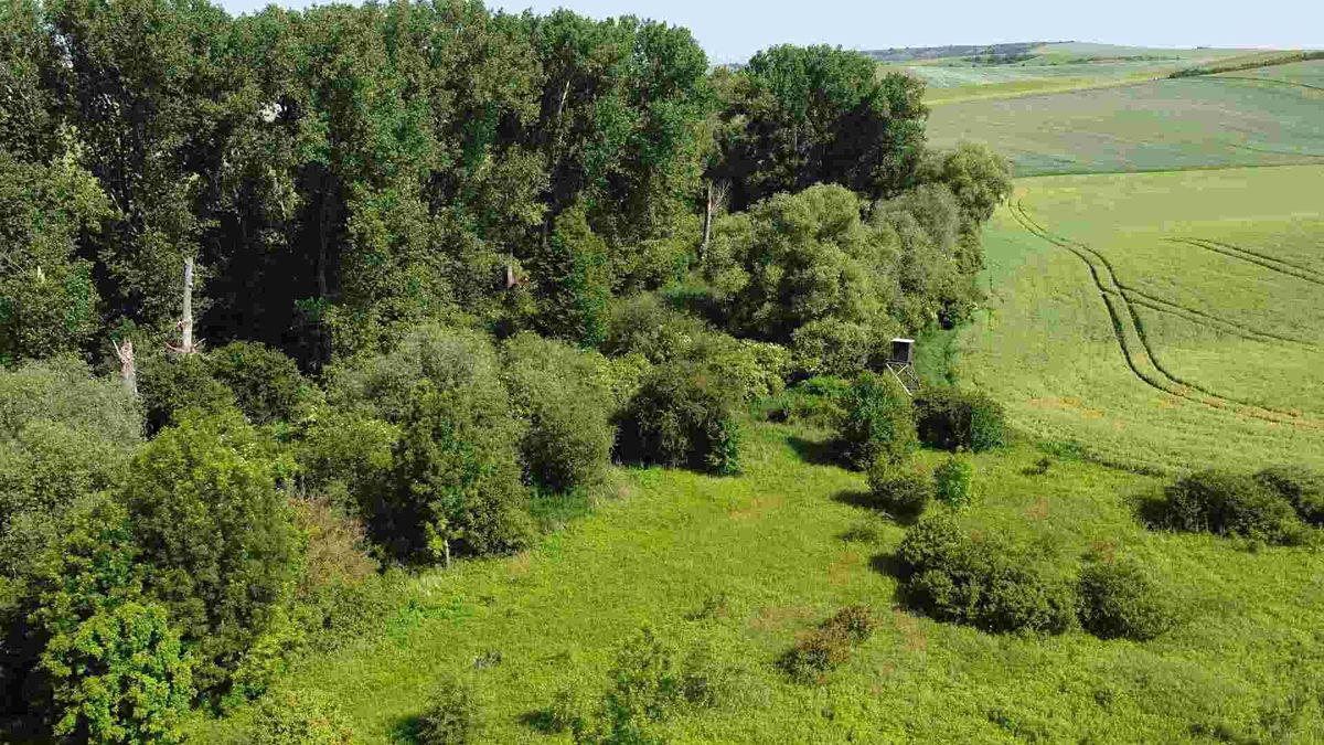 Prodej pole 3134 m² – fotografie 2