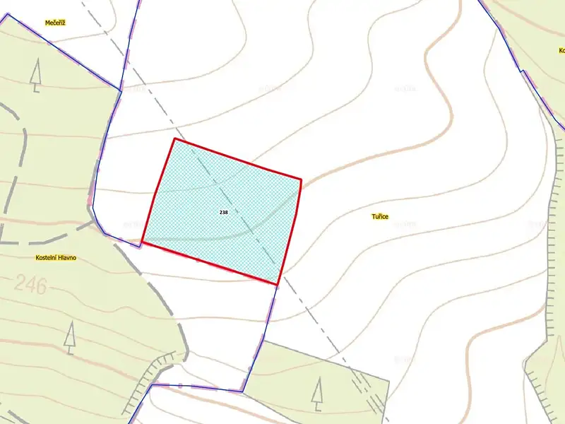Prodej pole 13416 m², Tuřice – náhled fotky 2