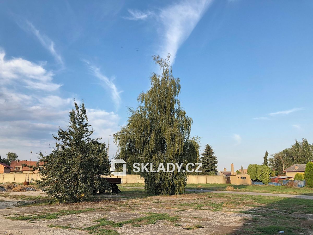 Pronájem komerčního pozemku 5000 m² – fotografie 4