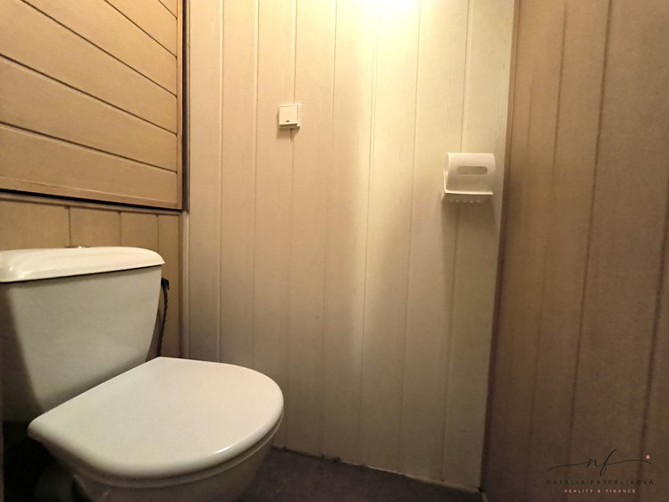 Pronájem bytu 2+1, 55 m² (16 z 17)