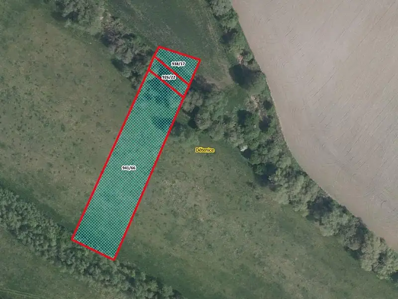 Prodej louky 3390 m², Dětenice – náhled fotky 1