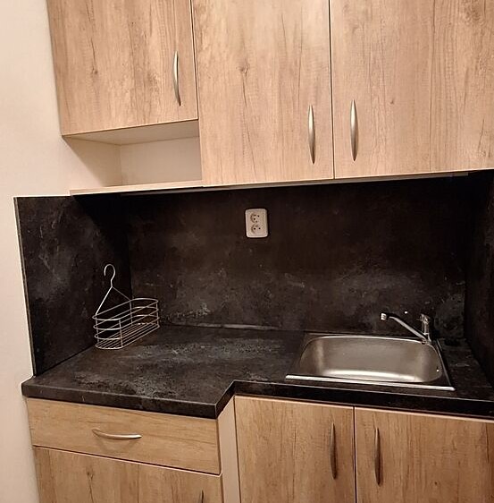 Wohnung 1+kk zur Miete, 17 m² (4 von 10)