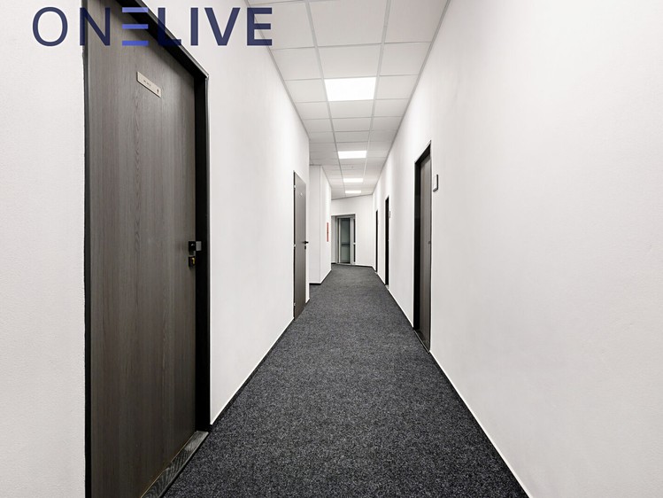 Gewerbefläche zur Miete, 42 m² (7 von 10)