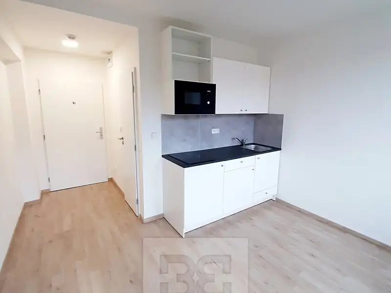 Pronájem bytu 1+kk 17 m², Praha – náhled fotky 2
