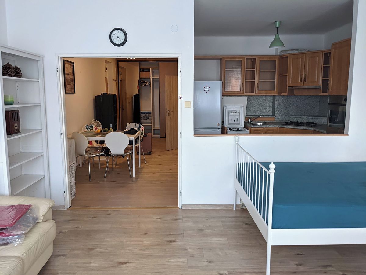 Pronájem bytu 1+kk 52 m² – fotografie 4