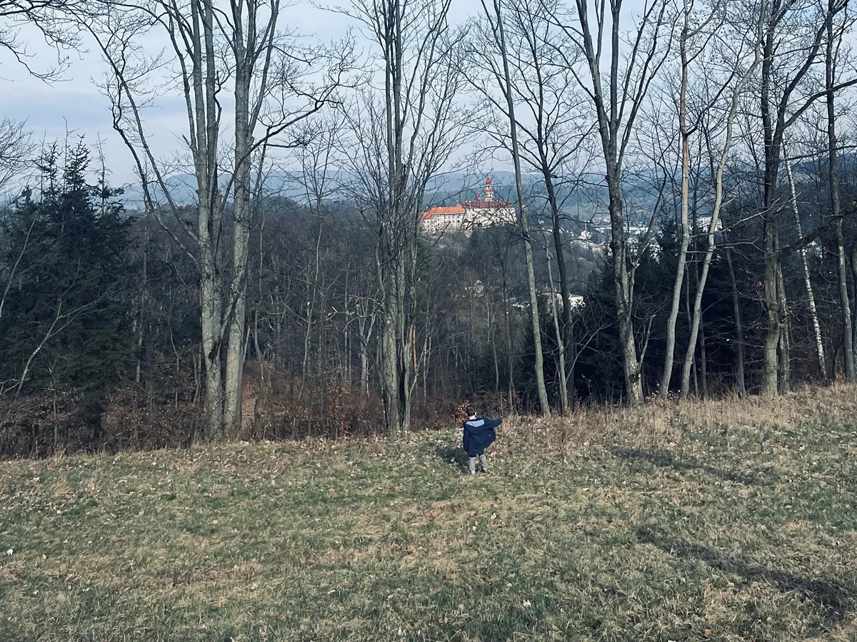 Fotka 9 z 10