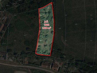 Prodej pozemku, 2 658 m² (3 z 12)