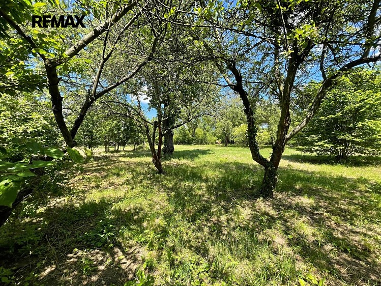 Grundstück zur Miete, 2.982 m² (16 von 23)