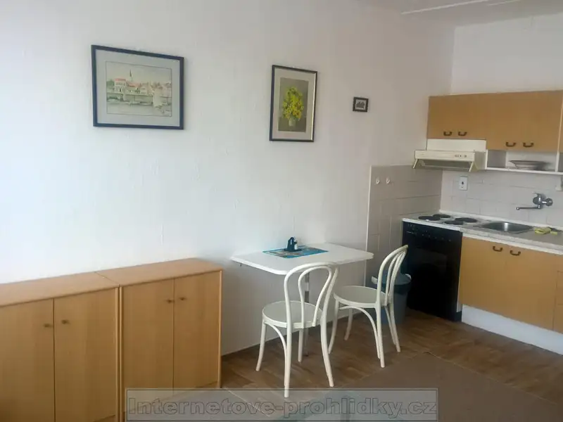 Pronájem bytu 1+kk 34 m², Praha – náhled fotky 3