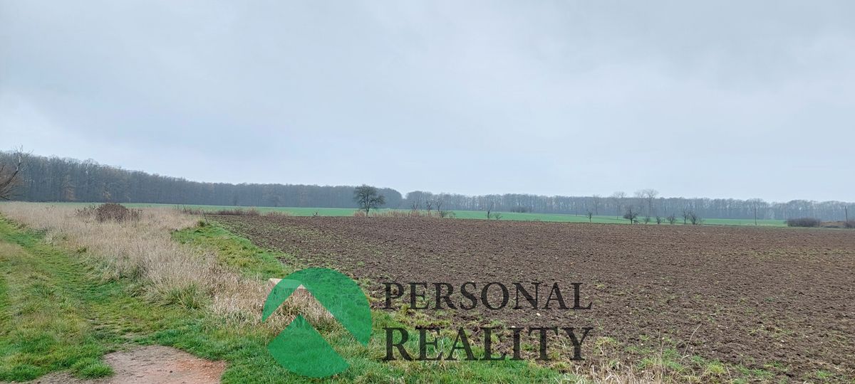 Prodej pole 3093 m²