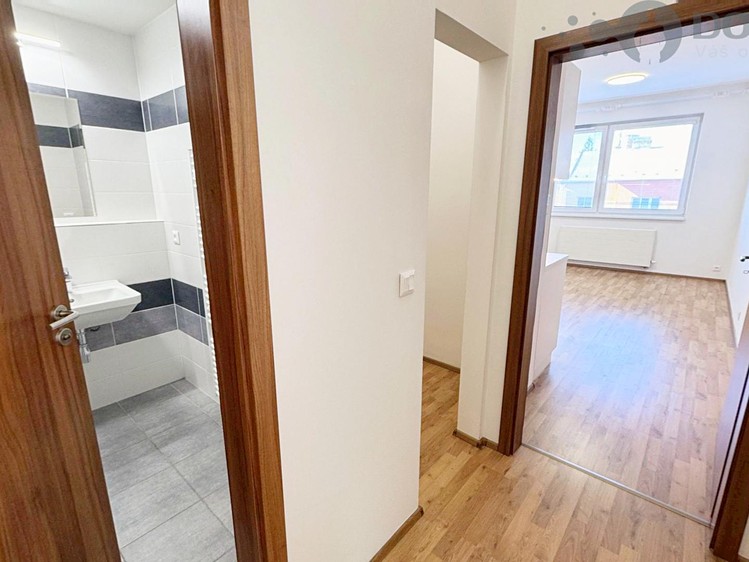 Wohnung 1+kk zur Miete, 34 m² (5 von 11)